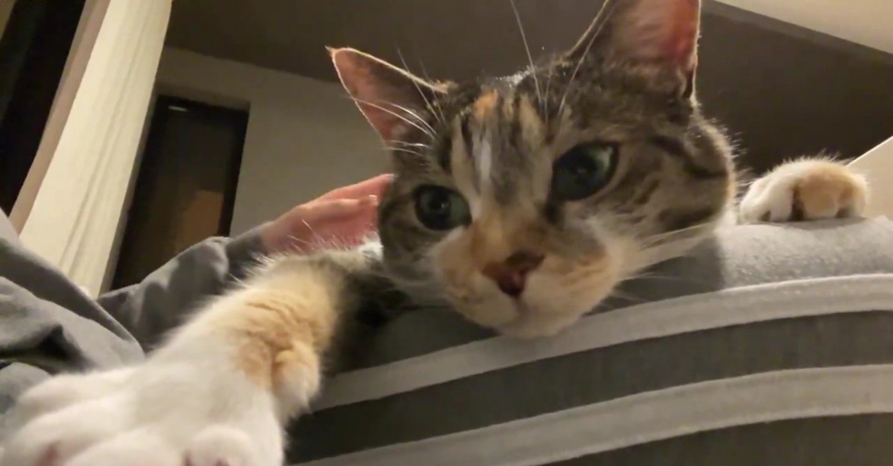 インカメラで撮影中のむーちゃん