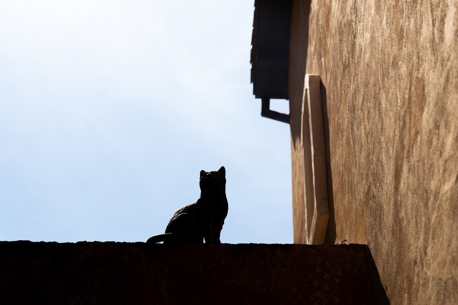 屋根の上の猫の彫刻