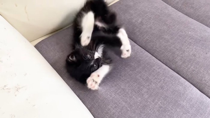 ひっくり返って