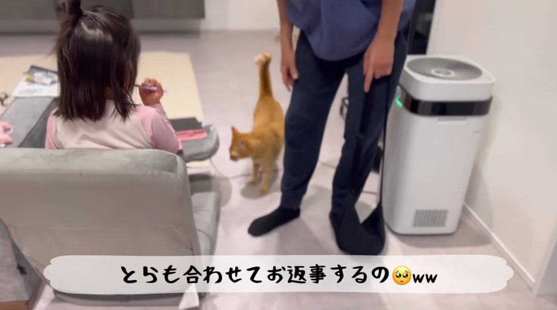 笑顔になる一家ととら猫