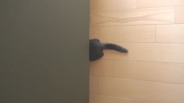 ソファからみえるおしり