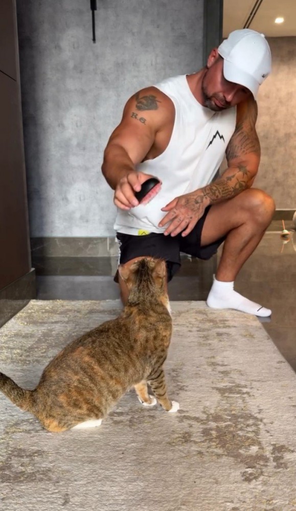 猫にブラシを見せる