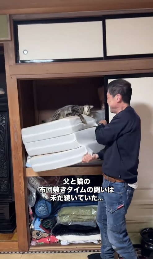 押入れから出そうとしているマットレスにしがみつく猫（寄り）