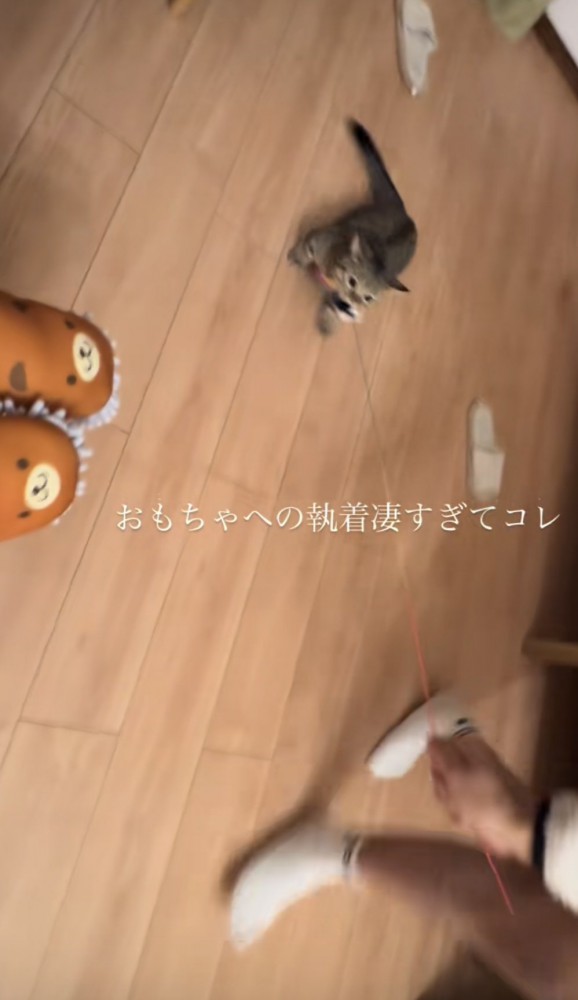 「おもちゃへの執着凄すぎてコレ」のテロップ写真2