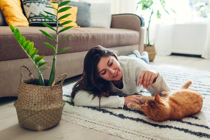 遊ぶ女性と猫