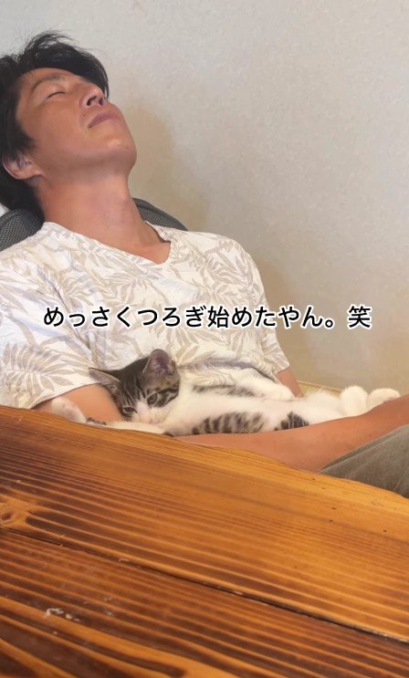 パパさんの上でくつろぐ子猫