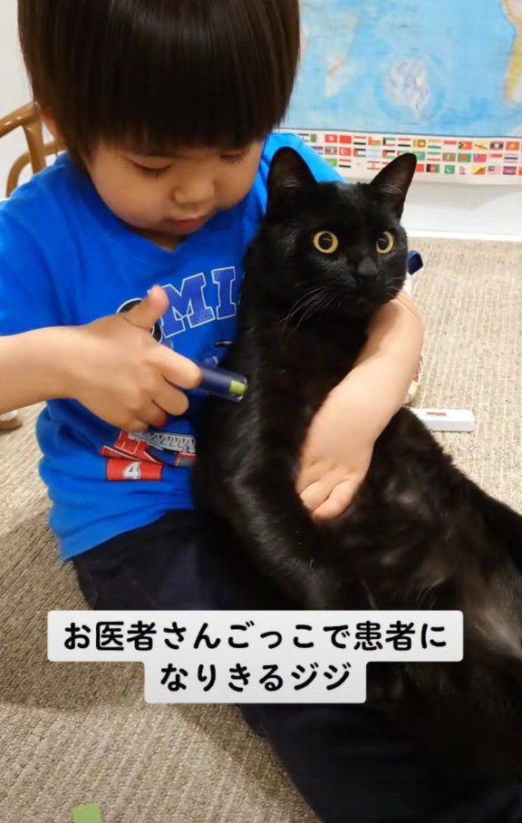 お医者さんごっこ中のジジくんと弟くん