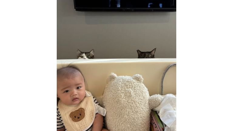 赤ちゃんと猫