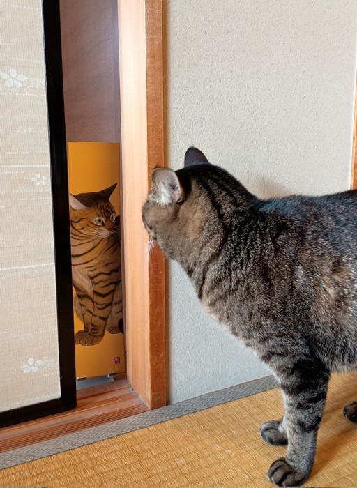 ふすまの隙間から見えている絵の前にいるキジトラ猫