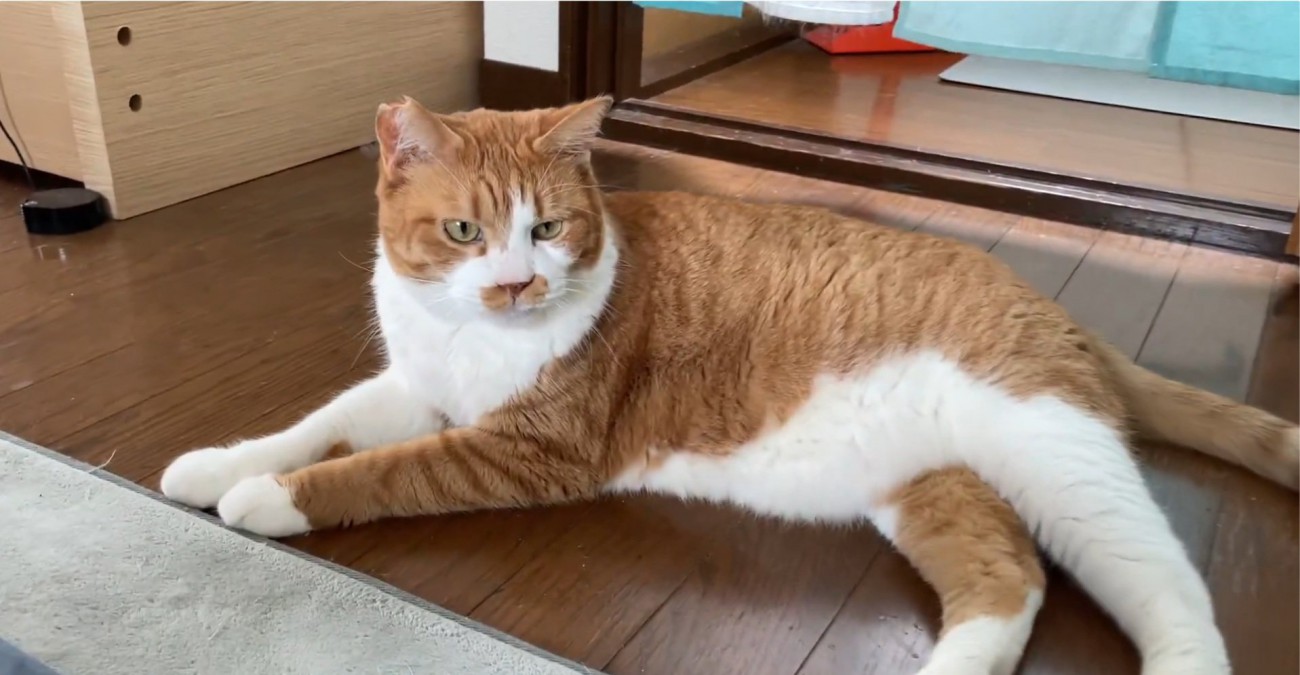 床に座るマナくん