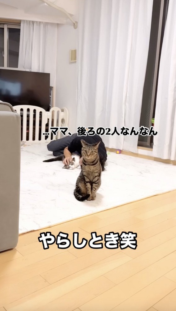 猫の問いに答えるママ