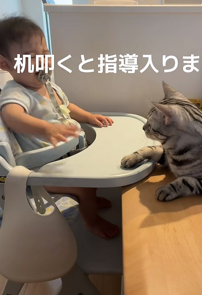 赤ちゃんと猫の写真5