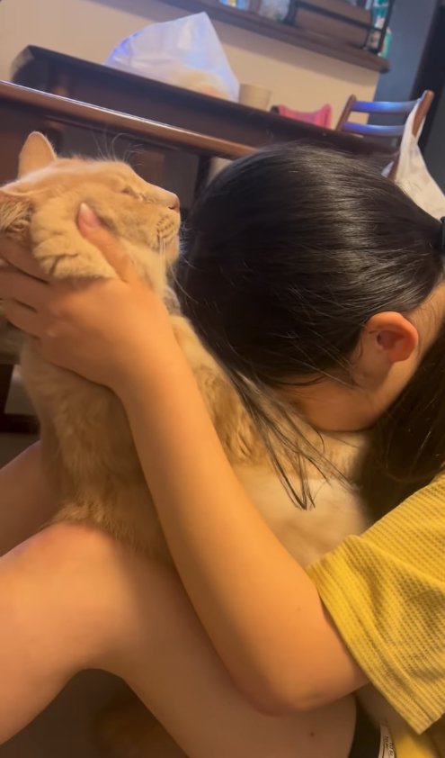 お腹を吸われている猫