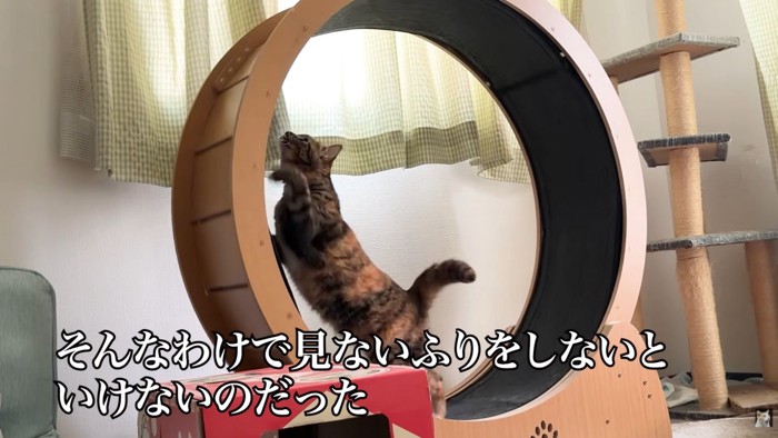 テロップ「そんなわけで~」