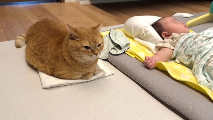 赤ちゃんの隣で寛ぎ中