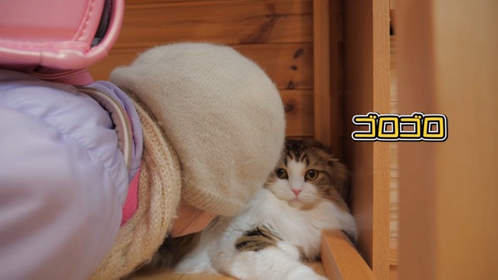 猫にくっつく帽子をかぶった子ども