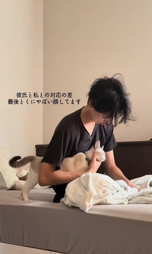 飼い主の腕の隙間に入ってアゴを撫でられている猫