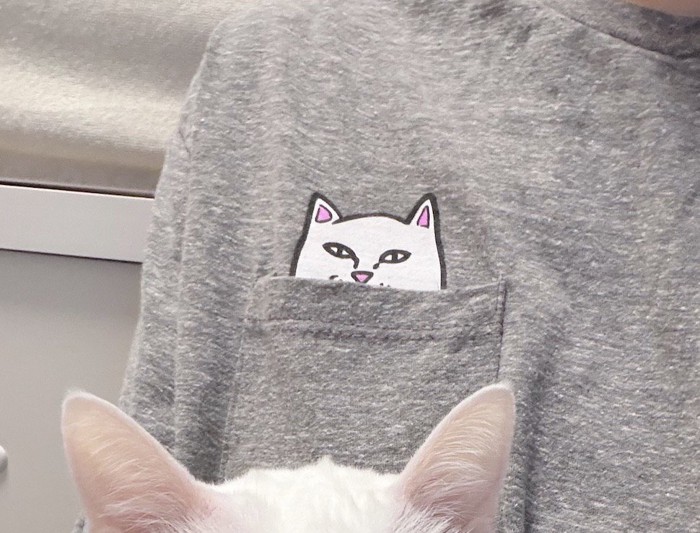 飼い主の胸ポケットに書かれている白猫のイラスト