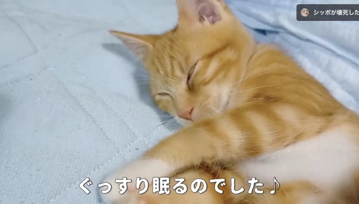 眠りについたいきるくん