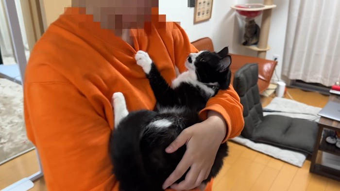 抱っこ