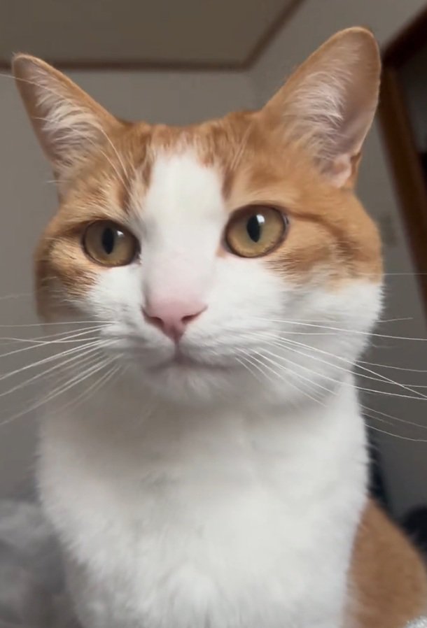 横を見るツナちゃん