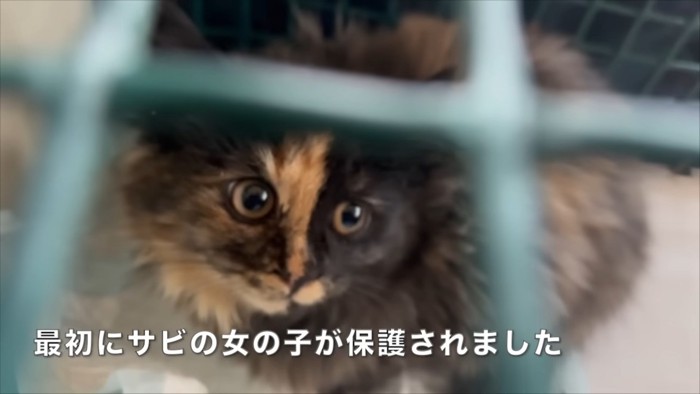 テロップ「最初にサビの～」