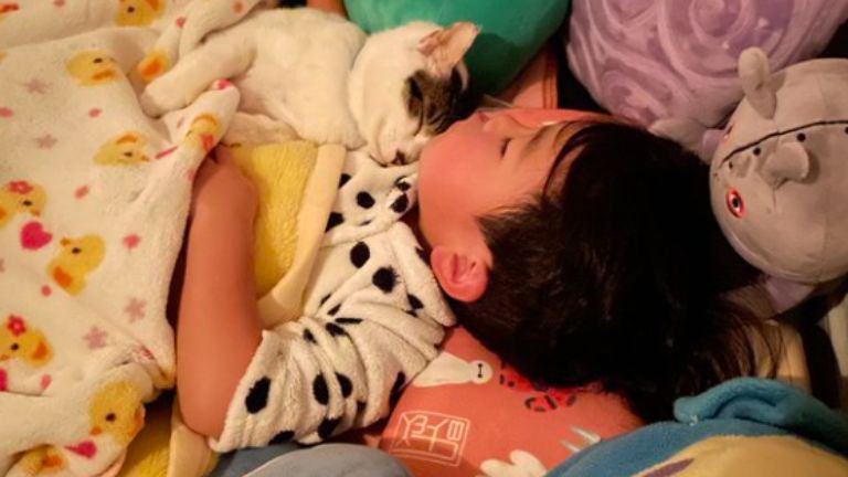 寝ている子どもと猫