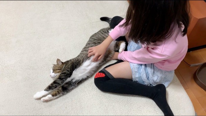 女の子のお腹を触られて伸びをする猫