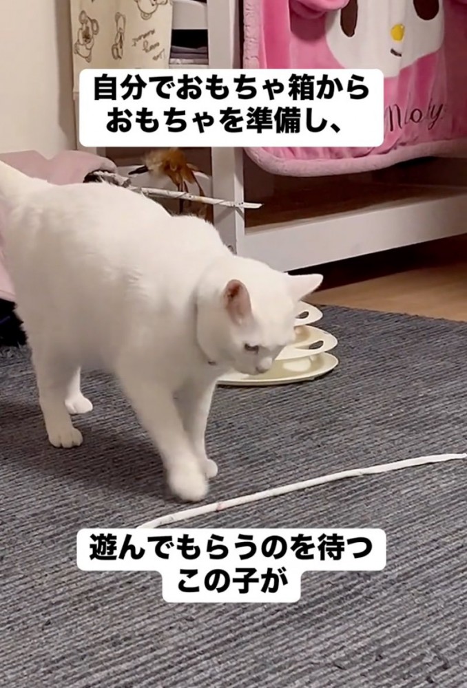 床におもちゃを置く