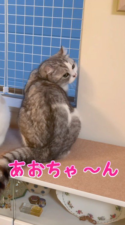 女性をふり返るアメリカン