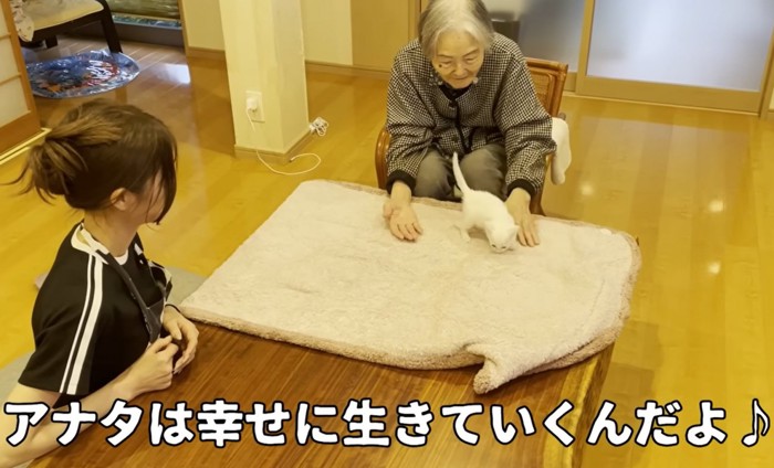 格子柄の服を着た人にお尻を向けて敷物の匂いを嗅ぐ猫（アナタは幸せに生きていくんだよ）