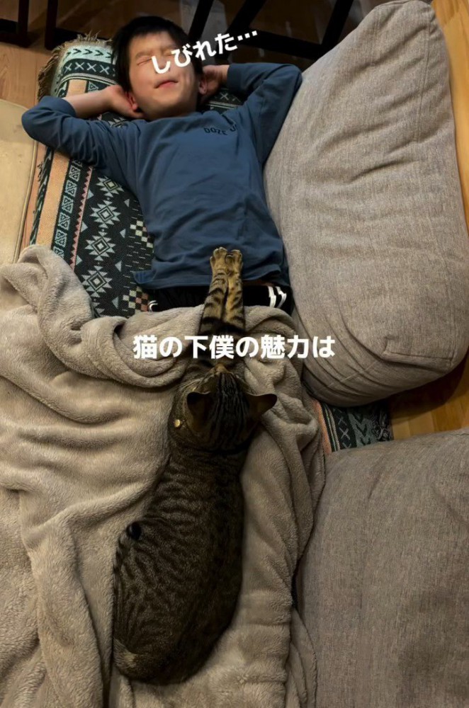 男の子の上で寝る猫