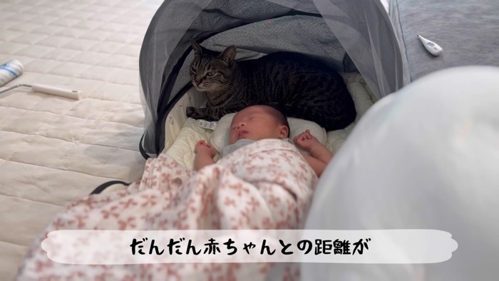 テロップ「だんだん赤ちゃんとの~」