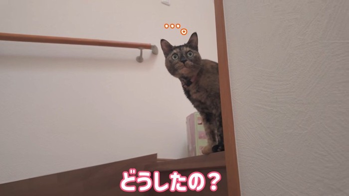 どうしたの？