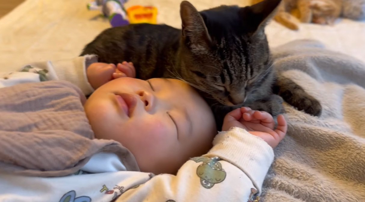 寝込んでいる赤ちゃんのそばに寄り添う猫