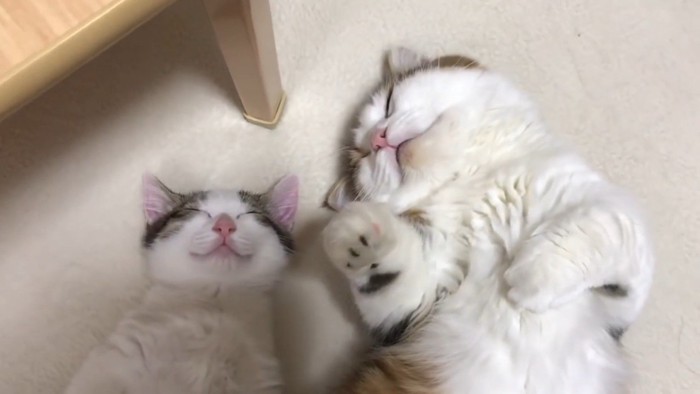 顔のアップ