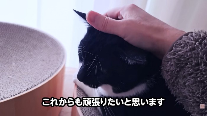 テロップ「これからも~」