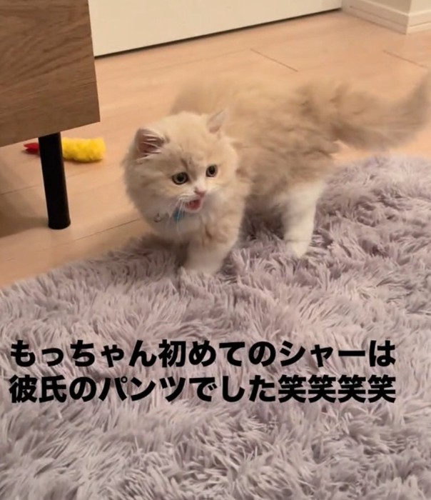 シャーするもなかくん