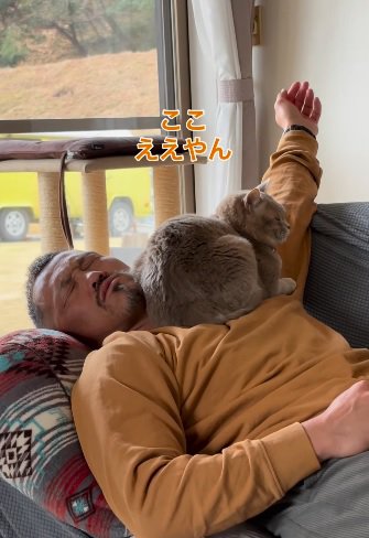 気に入った