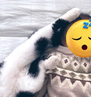 赤ちゃんの頭に乗せられた猫の後ろ足