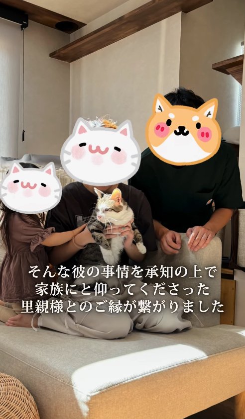 里親さん家族に抱っこされている猫