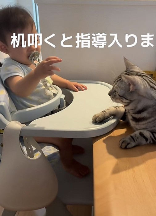 赤ちゃんと猫の写真9