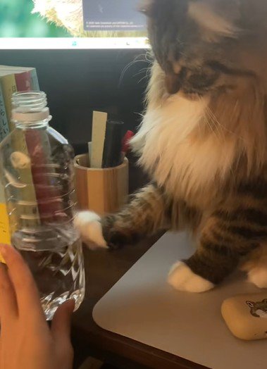 落ちそうなペットボトル