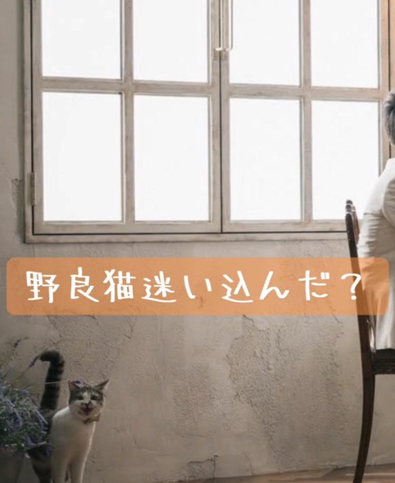 端っこで待機するノリスちゃん