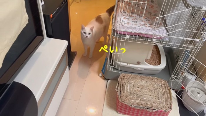 ぺいっ