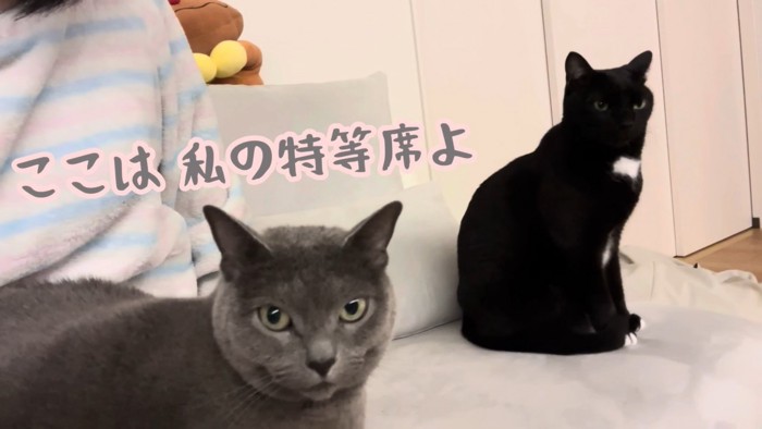 テロップ「ここは私の~」