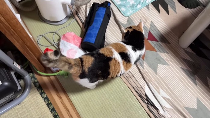 水筒を見つめて