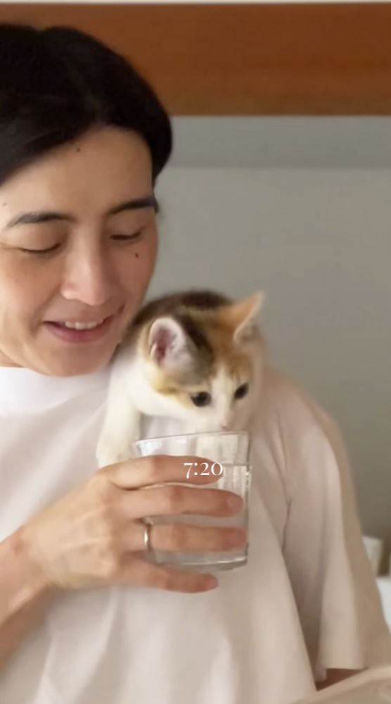 女性が持っているコップに顔を入れる子猫