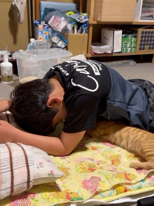 人の体の下で横になる子猫