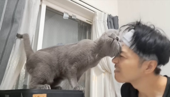 ななめ上を見上げて